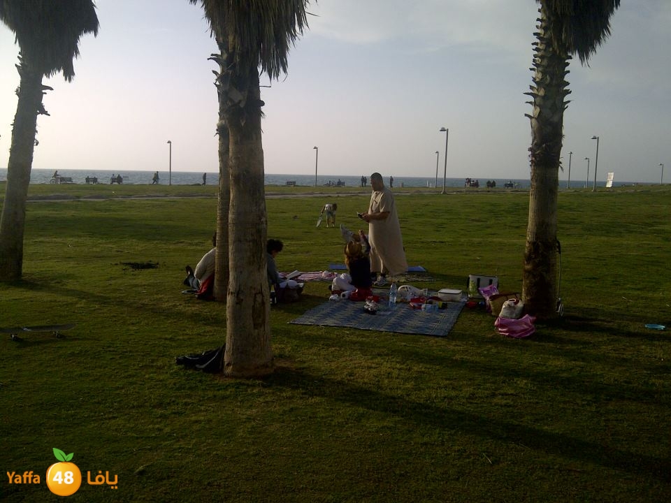 shababmo2menn39 (10).jpg